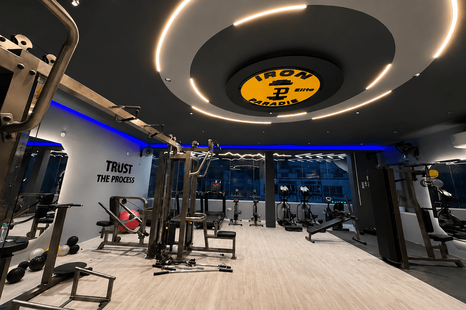 Iron Paradise Elite training floor